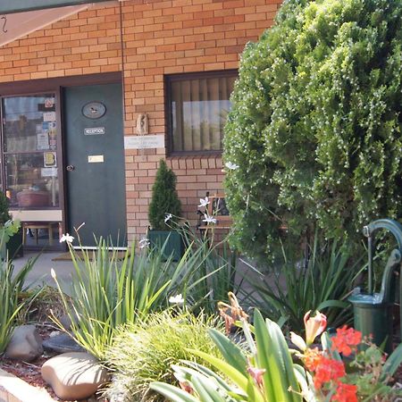 Ningana Motel Mudgee Eksteriør billede