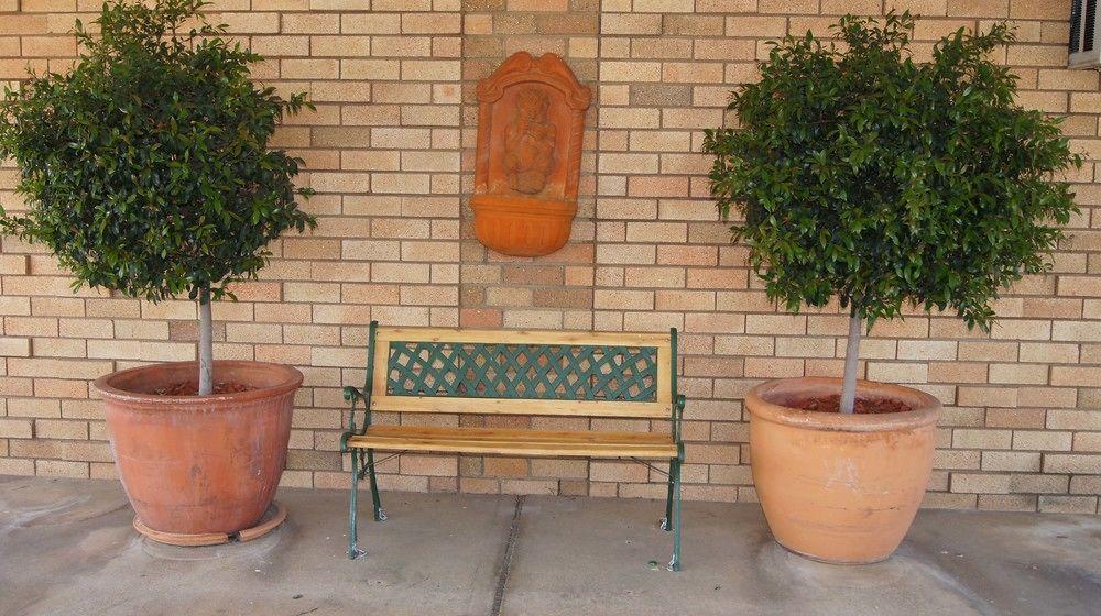 Ningana Motel Mudgee Eksteriør billede